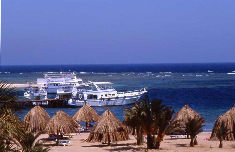 263-Marsa Alam,barriera corallina,16 agosto 2007.jpg